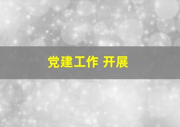 党建工作 开展